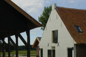 detail