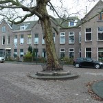 Nieuwe situatie Hekwerk Bevrijdingsboom Vlaardingen exoot restauratie Walraad architecten
